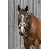 Cabeçada Riding World com lã sintética Verde escuro
