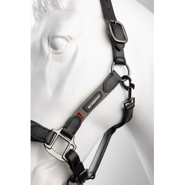 Cabresto de couro B Vertigo Lennox Verde escaravelho