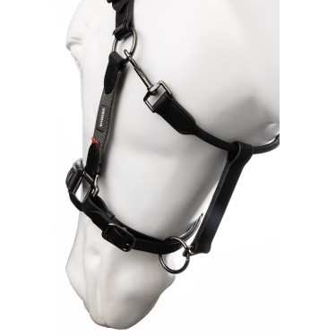 Cabresto de couro B Vertigo Lennox Verde escaravelho