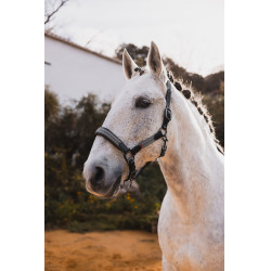 Cabresto de couro B Vertigo Lennox Verde escaravelho