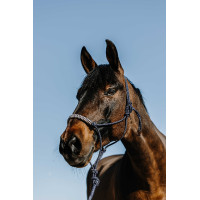 Caveção etológico + guia Norton Deco Castanho / bege