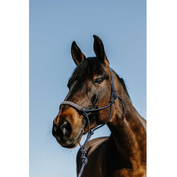 Caveção etológico + guia Norton Deco Marinho / bege Azul