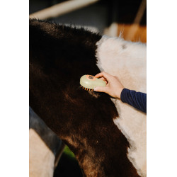 Etrilha Hippotonic Vapor Creme Bege