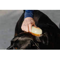 Etrilha Hippotonic Vapor Creme Bege