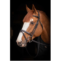 Birdon Oxford Performance Pénélope Preto Birdon Oxford Performance Pénélope Preto