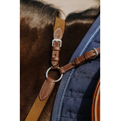 Peitoral Norton 5 pontos Havana Castanho