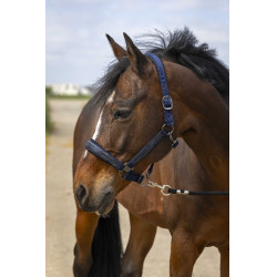 Caveção Equithème Nylon Strass Azul-marinho Caveção Equithème Nylon Strass Azul-marinho