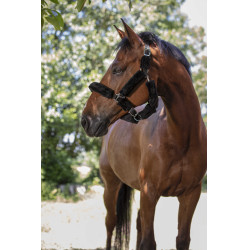 Cabeçada Norton com forro completo de lã sintética Preto / preto