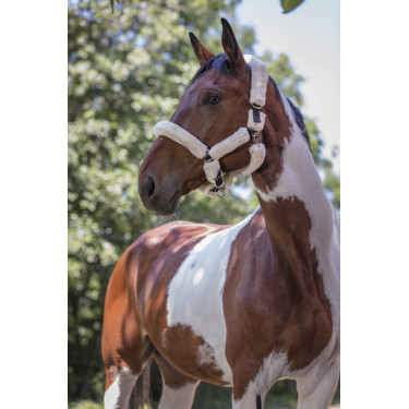 Cabeçada Norton com forro completo de lã sintética Preto / cru