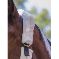 Cabeçada Norton com forro completo de lã sintética Preto / cru