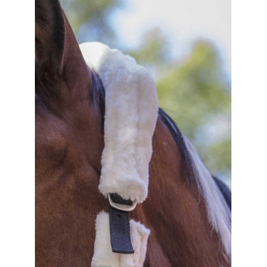 Cabeçada Norton com forro completo de lã sintética Preto / cru