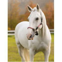 Cabresto LeMieux Ropella Cranbery