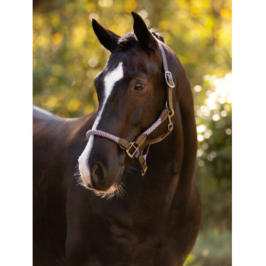 Cabresto LeMieux Ropella Lilás Violeta