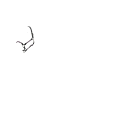 Cabresto LeMieux Ropella Lilás Violeta