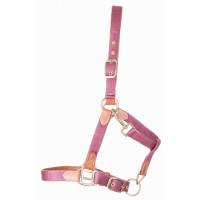 Licol en cuir et sangle T de T Bleu marine Licol en cuir et sangle T de T Bleu marine