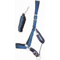 Licol satiné doublé avec longe ronde T de T Marron foncé