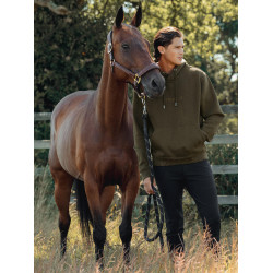 Moletom com capuz LeMieux masculino Alpino Castanho