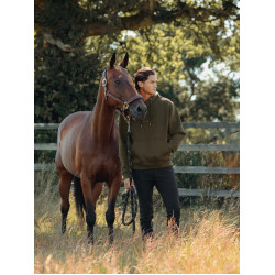 Moletom com capuz LeMieux masculino Alpino Castanho