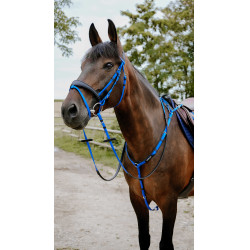 Bridão de endurance Norton Pop Azul royal