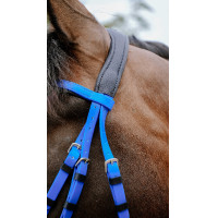Bridão de endurance Norton Pop Rosa