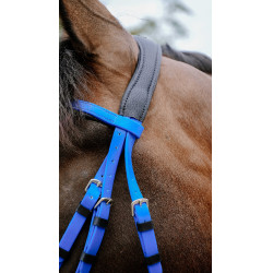 Bridão de endurance Norton Pop Azul royal