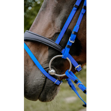 Bridão de endurance Norton Pop Azul royal