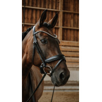 Bridão Norton Diams Preto Bridão Norton Diams Preto