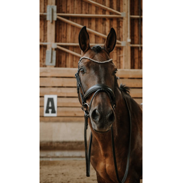 Bridão Norton Diams Preto