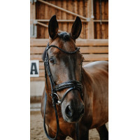 Bridão Norton Royal Preto
