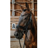 Bridão Norton Royal Preto
