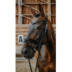 Bridão Norton Royal Preto