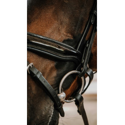 Bridão Norton Royal Preto