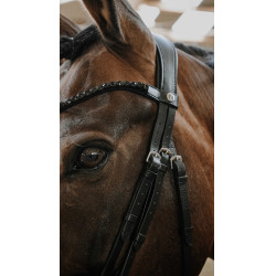 Bridão Norton Royal Preto