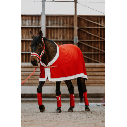 Camisa Equithème Xmas