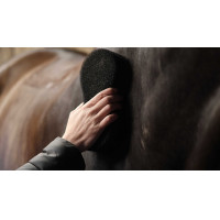 Esponja Lami-Cell Shine scrubber Preto