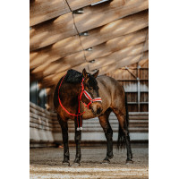 Cabresto + guia Equithème Xmas Vermelho