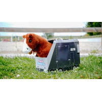 Mini-pónei Jumpy Pony Academy Laranja