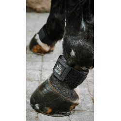 Protetor de boleto Norton XTR Gel