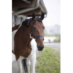 Caveção Equithème Nylon Azul royal Caveção Equithème Nylon Azul royal