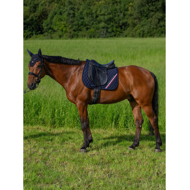 Manta de treino Tommy Hilfiger Equestrian Stanford Manta de treino Tommy Hilfiger Equestrian Stanford