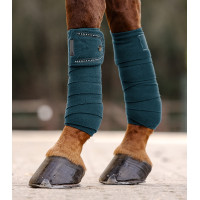 Bandagens polares... Bandagens polares...