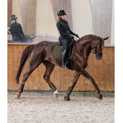 Almofada de sela Waldhausen Philadelphia Castanho verde Almofada de sela Waldhausen Philadelphia Castanho verde