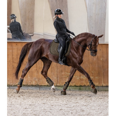 Almofada de sela Waldhausen Philadelphia Castanho verde Almofada de sela Waldhausen Philadelphia Castanho verde