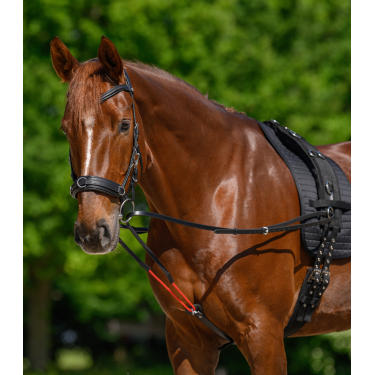 Rendas triangulares W-train Waldhausen Preto