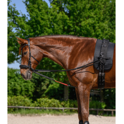 Rendas triangulares W-train Waldhausen Preto