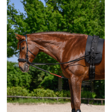 Rendas triangulares W-train Waldhausen Preto