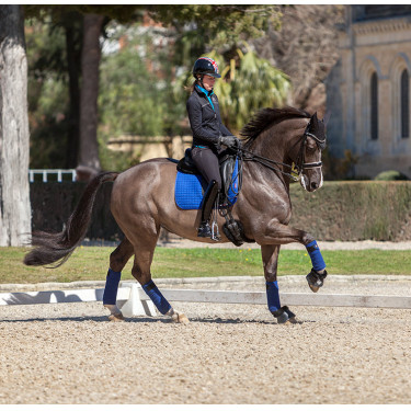 Tapete LeMieux Suede Dressage Square Azul Benetton Tapete LeMieux Suede Dressage Square Azul Benetton