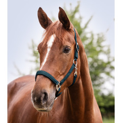 Caveção Waldhausen Satin Azul petróleo