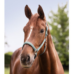 Caveção Waldhausen Satin Azul prateado Caveção Waldhausen Satin Azul prateado