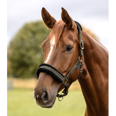 Caveção Waldhausen Elegant Castanho verde Caveção Waldhausen Elegant Castanho verde